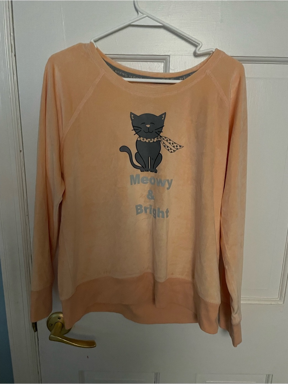 Peach 'Meowy & Bright' Cat Pullover velour light Sweatshirt
